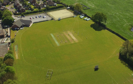 cricket