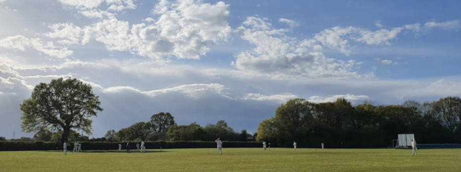 wsla Cricket